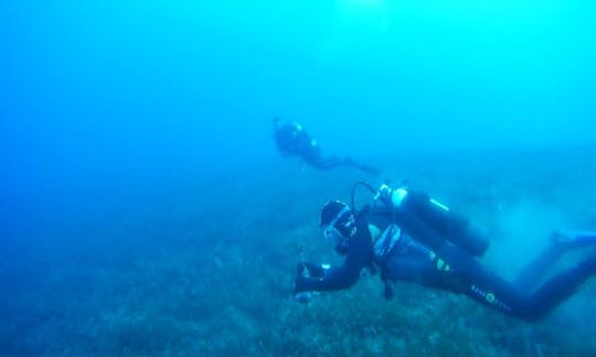 Excursiones de buceo y cursos de pago en Poli Crysochous