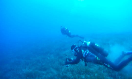 Diving Trips & Padi Courses in Poli Crysochous