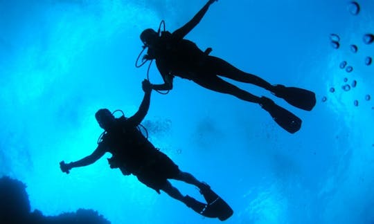 Sunken Plane Dive and Other Dives in Kusadasi