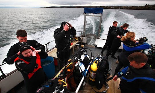 MV. Shore Diving trips in Saint Abbs