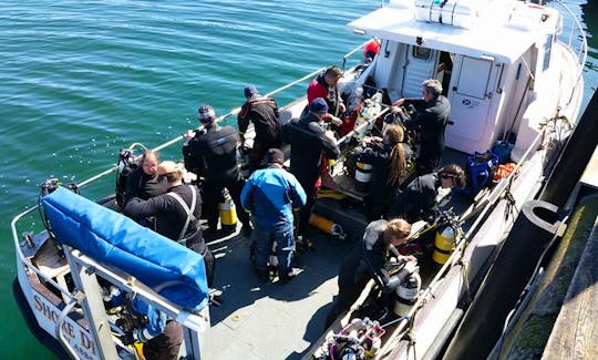 MV. Shore Diving trips in Saint Abbs