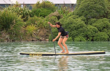 Paddleboard in Nelson