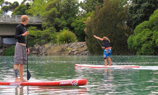 Paddleboard in Nelson