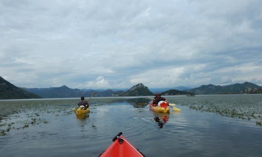 Amazing Kayak Tour with the Local Guides in Kotor, Montenegro