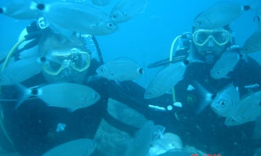 Diving Trips in Karabuk Koyu, Turkey