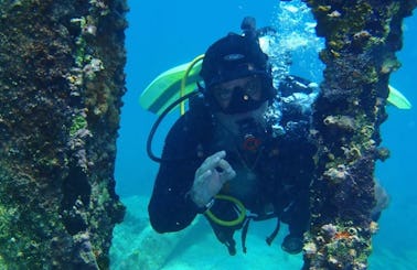 Diving Excursions In Punta Cana