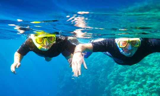 Snorkeling Tours in Alghero, Italy