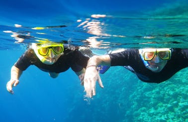 Snorkeling Tours in Alghero, Italy
