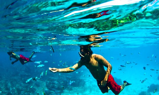 Snorkeling and Diving Trips in famous Bali Dive Spots!