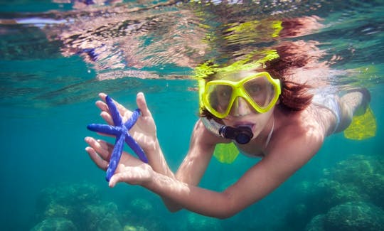 Snorkeling and Diving Trips in famous Bali Dive Spots!