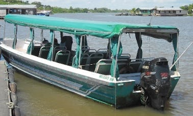 Águia Amazonas - Excursão de um dia - Manaus/AM, Brasil