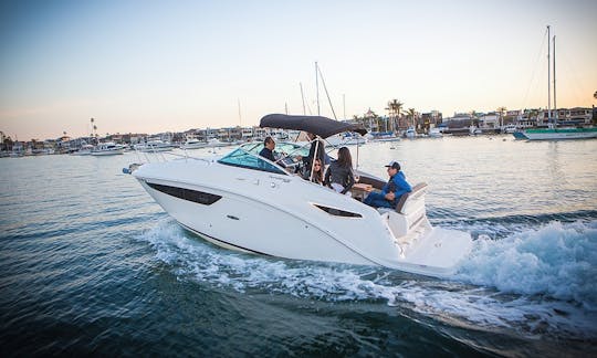 Sea Ray Sundancer de 27 pés — Capitão e combustível incluídos