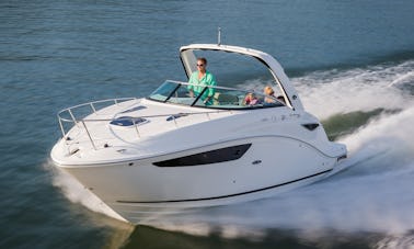 Sea Ray Sundancer de 27 pés — Capitão e combustível incluídos