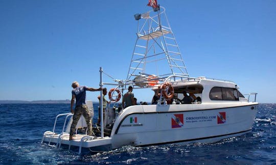 'Bear-Cat' Boat Diving Trips and Courses in Arzachena, Sardinia