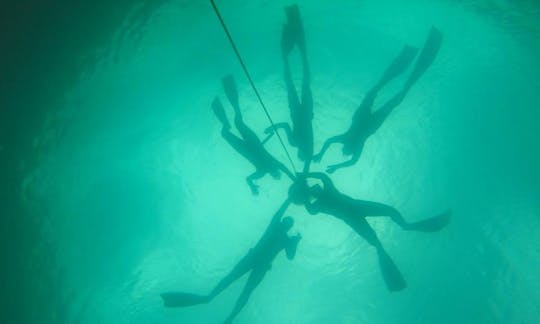 Free Diving Lessons in Ware/London/