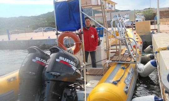 'Blues II' Boat Diving Trips and Courses in Arzachena