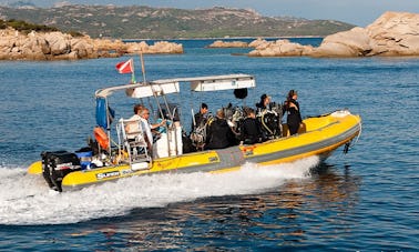 Excursiones y cursos de buceo en barco «Blues II» en Arzachena