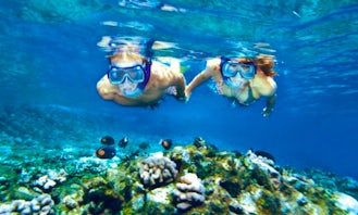 Snorkeling Tours and Courses in Golfo Aranci, Italy