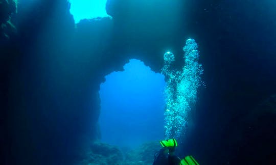 Daily Diving Trips in Naxos, Greece