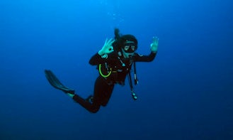 Diving Trips and PADI Courses in Zanzibar