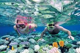 Snorkeling Tours in Zanzibar