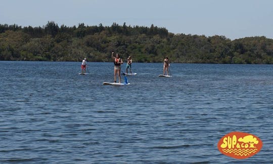 Alquiler de tablas de remo en São Domingos /Setúbal, Portugal