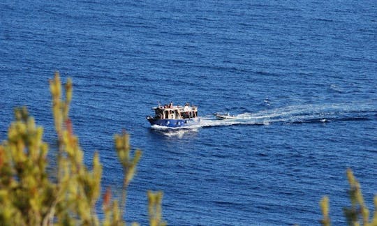 Scuba Diving Trip and Lessons in Ustica, Italy