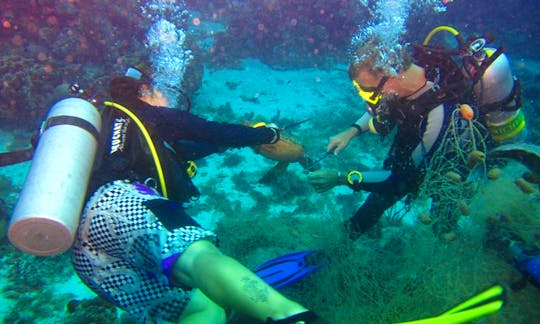 Diving Trips in Playa Lagun, Curacao