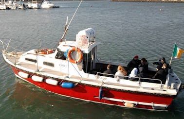 Charter 31ft "M.V Oriel" Trawler In Howth, Ireland
