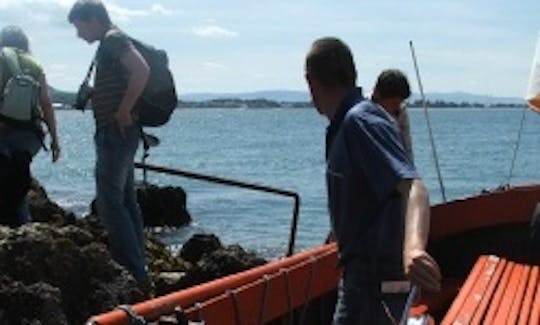 Enjoy Island Tour On M.V. Little Flower In Howth, Ireland