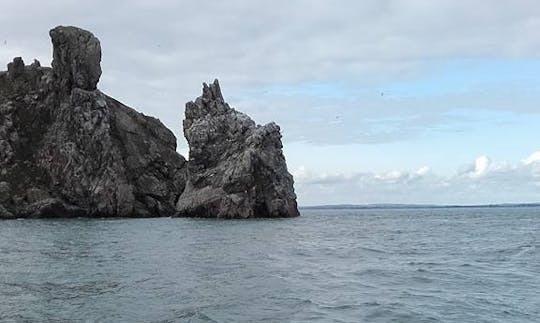 Enjoy Island Tour On M.V. Little Flower In Howth, Ireland