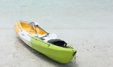 Kayak Rental & Trips in Tambon Ko Tao, Thailand