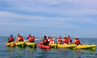 Kayak Rental & Trips in Quepos, Costa Rica