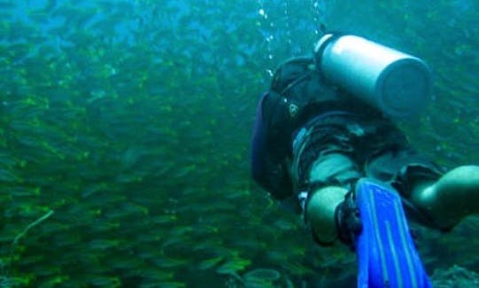 PADI Diving Courses in Wattens Municipality, Austria