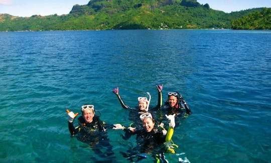 Diving Trips in Vaitape, French Polynesia