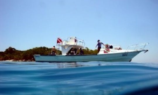 Diving Trips in Falcon, Venezuela