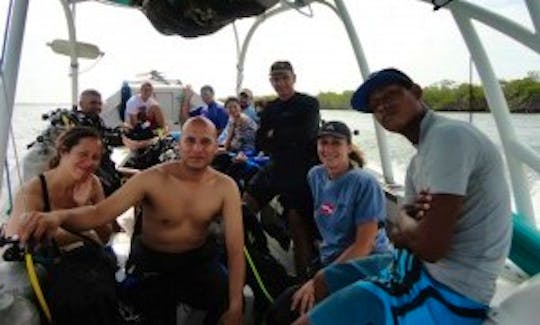 Diving Trips in Falcon, Venezuela