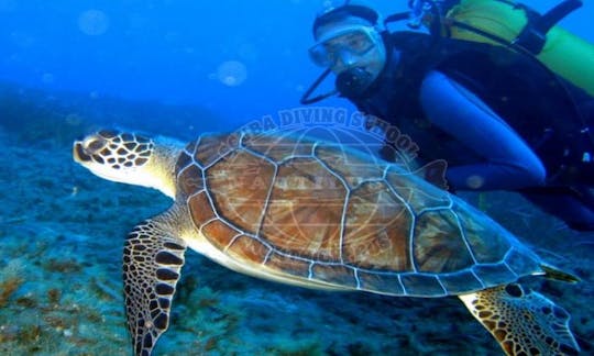 Clases de buceo en Chipre