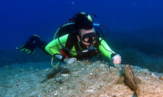 Clases de buceo en Chipre