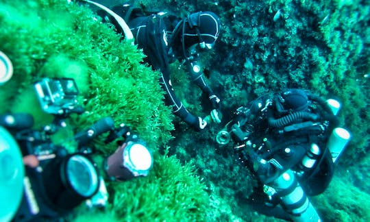Shore Scuba Diving Lessons in Sliema