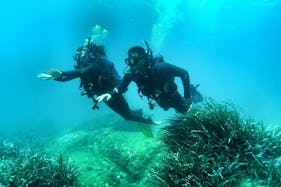 Shore Scuba Diving Lessons in Sliema