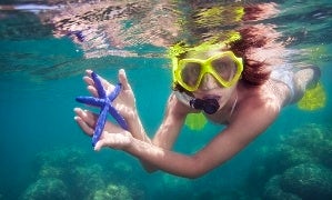 Book a Snorkeling Trip in Bali, Indonesia