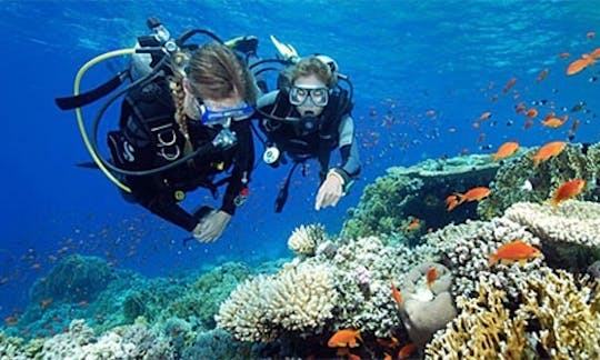 62' Diving Trips and Courses in Girne, Cyprus