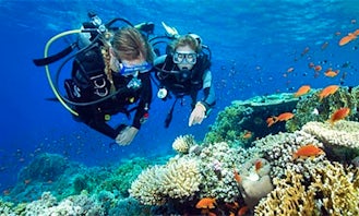 62' Diving Trips and Courses in Girne, Cyprus
