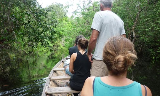 Faites une croisière fluviale relaxante à Manaus, au Brésil