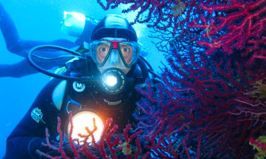 Diving Trips and Courses in Villasimius, Italy
