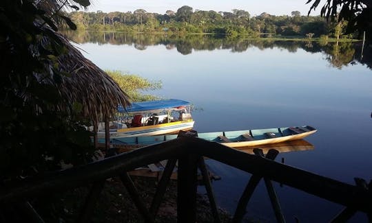 Cruzeiros fluviais incríveis em Manaus, Brasil