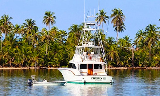 Charter 66ft