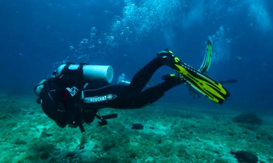 Diving Courses in Karaburun, Turkey