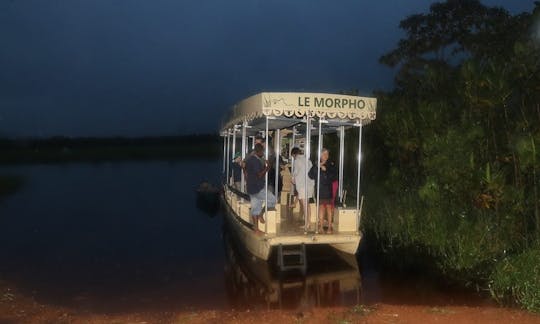 Passeios pela vida selvagem em Roura, Guiana Francesa